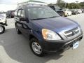 Eternal Blue Pearl - CR-V LX Photo No. 1