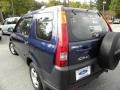 Eternal Blue Pearl - CR-V LX Photo No. 15