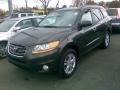 2010 Black Forest Green Metallic Hyundai Santa Fe Limited 4WD  photo #2