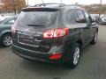 2010 Black Forest Green Metallic Hyundai Santa Fe Limited 4WD  photo #3