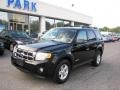 Black - Escape Hybrid 4WD Photo No. 1