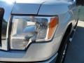 2011 Ingot Silver Metallic Ford F150 Texas Edition SuperCrew 4x4  photo #9
