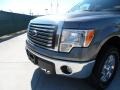 2011 Sterling Grey Metallic Ford F150 XLT SuperCrew 4x4  photo #10