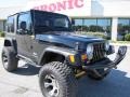 Black 2004 Jeep Wrangler SE 4x4