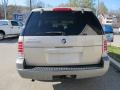 Light French Silk Metallic - Mountaineer V6 AWD Photo No. 3