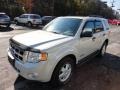 2008 Light Sage Metallic Ford Escape XLT 4WD  photo #3