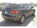 Lava Grey Pearl Effect - A3 2.0T Photo No. 5