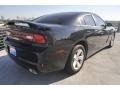 Brilliant Black Crystal Pearl - Charger SE Photo No. 5