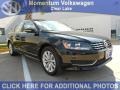 Black - Passat 2.5L SEL Photo No. 1