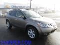 Polished Pewter Metallic 2004 Nissan Murano SE AWD