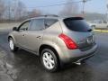 Polished Pewter Metallic - Murano SE AWD Photo No. 6