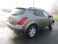 Polished Pewter Metallic - Murano SE AWD Photo No. 9