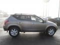 Polished Pewter Metallic - Murano SE AWD Photo No. 10
