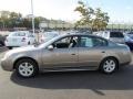 Polished Pewter Metallic - Altima 2.5 SL Photo No. 4