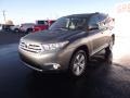 2012 Cypress Green Pearl Toyota Highlander Limited  photo #3