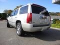 2010 Silver Lining Cadillac Escalade Premium AWD  photo #11