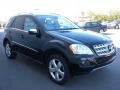 Black - ML 350 Photo No. 3