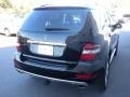 Black - ML 350 Photo No. 8