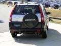Satin Silver Metallic - CR-V LX Photo No. 5