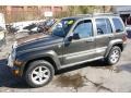 2005 Dark Khaki Pearl Jeep Liberty Limited 4x4  photo #1