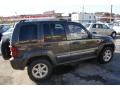 2005 Dark Khaki Pearl Jeep Liberty Limited 4x4  photo #4