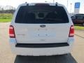 2010 White Suede Ford Escape XLT 4WD  photo #3