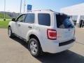 2010 White Suede Ford Escape XLT 4WD  photo #17