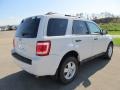 2010 White Suede Ford Escape XLT 4WD  photo #18