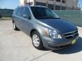 Green Meadow Gray 2007 Hyundai Entourage Limited