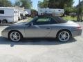 Atlas Grey Metallic - 911 Carrera Cabriolet Photo No. 7