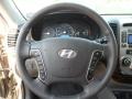 Gray Steering Wheel Photo for 2012 Hyundai Santa Fe #55954306