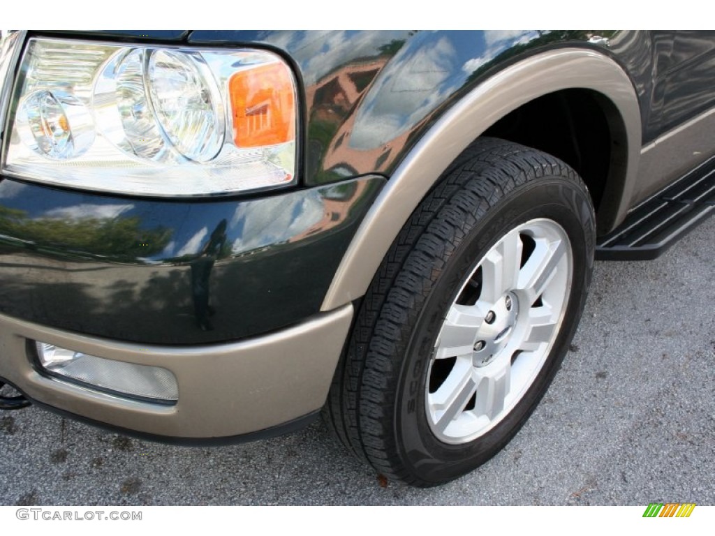 2004 F150 Lariat SuperCrew 4x4 - Aspen Green Metallic / Tan photo #24