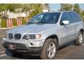 Titanium Silver Metallic - X5 3.0i Photo No. 2