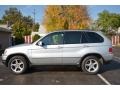 Titanium Silver Metallic - X5 3.0i Photo No. 3
