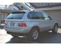 Titanium Silver Metallic - X5 3.0i Photo No. 6