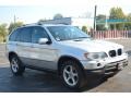 Titanium Silver Metallic - X5 3.0i Photo No. 8