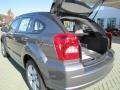 Tungsten Metallic - Caliber SXT Photo No. 8
