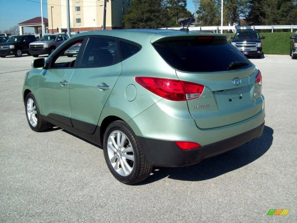 Kiwi Green 2010 Hyundai Tucson GLS Exterior Photo #55964556