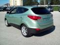 2010 Kiwi Green Hyundai Tucson GLS  photo #2