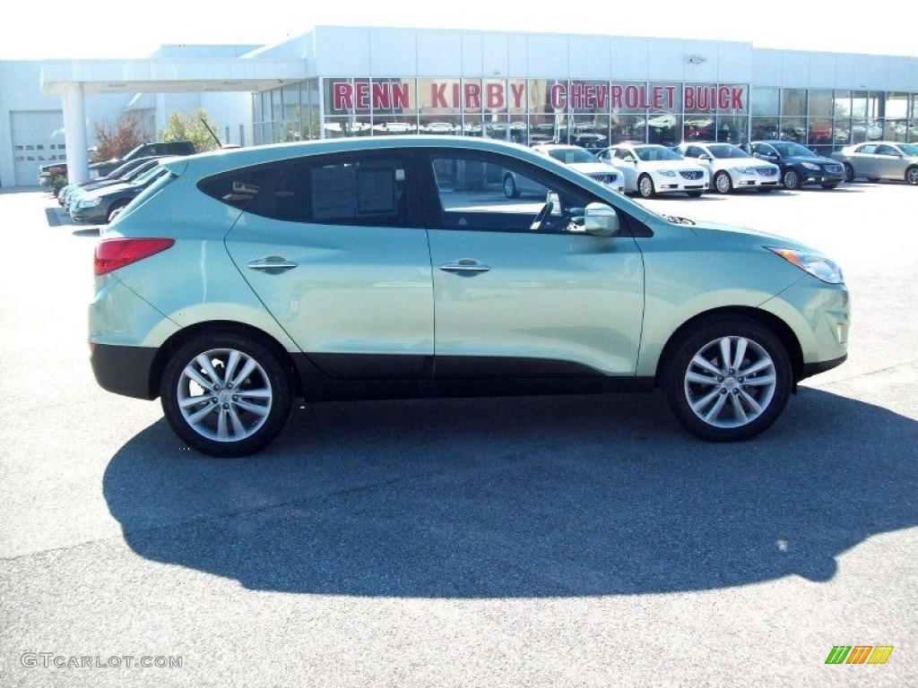 2010 Tucson GLS - Kiwi Green / Taupe photo #3