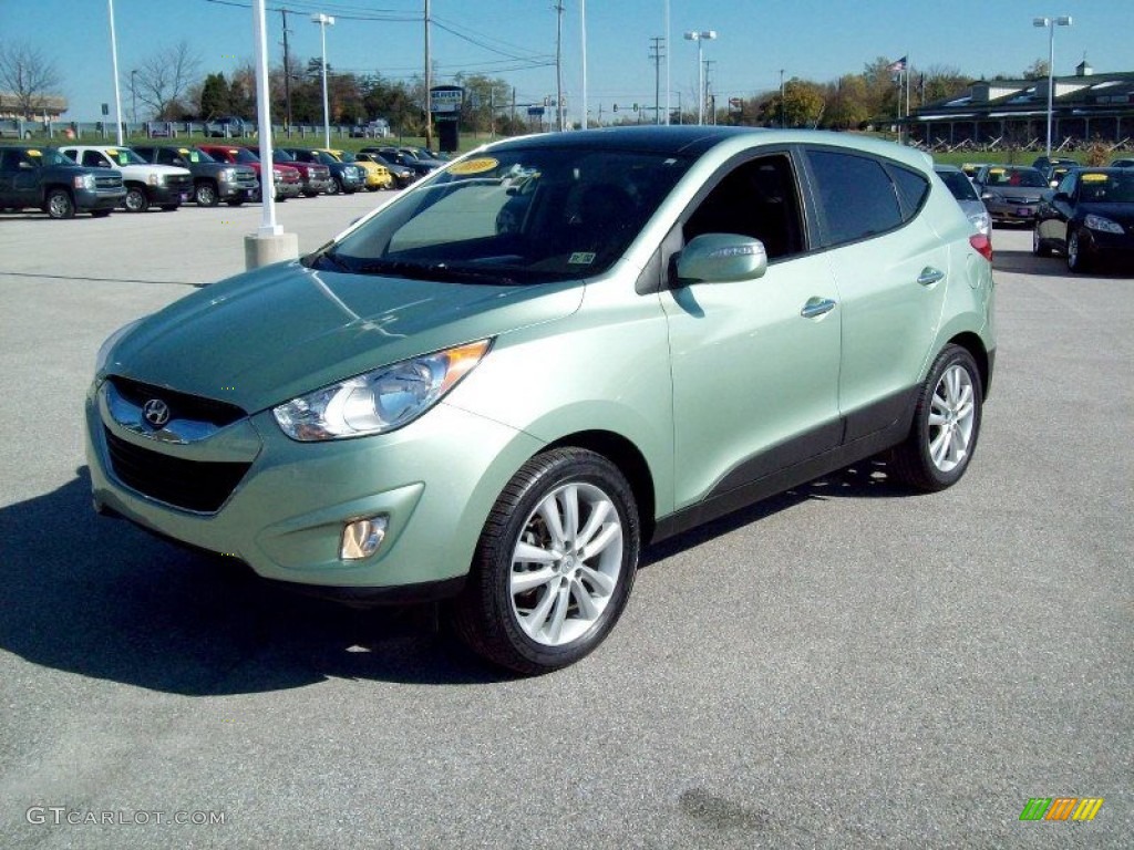 Kiwi Green 2010 Hyundai Tucson GLS Exterior Photo #55964628
