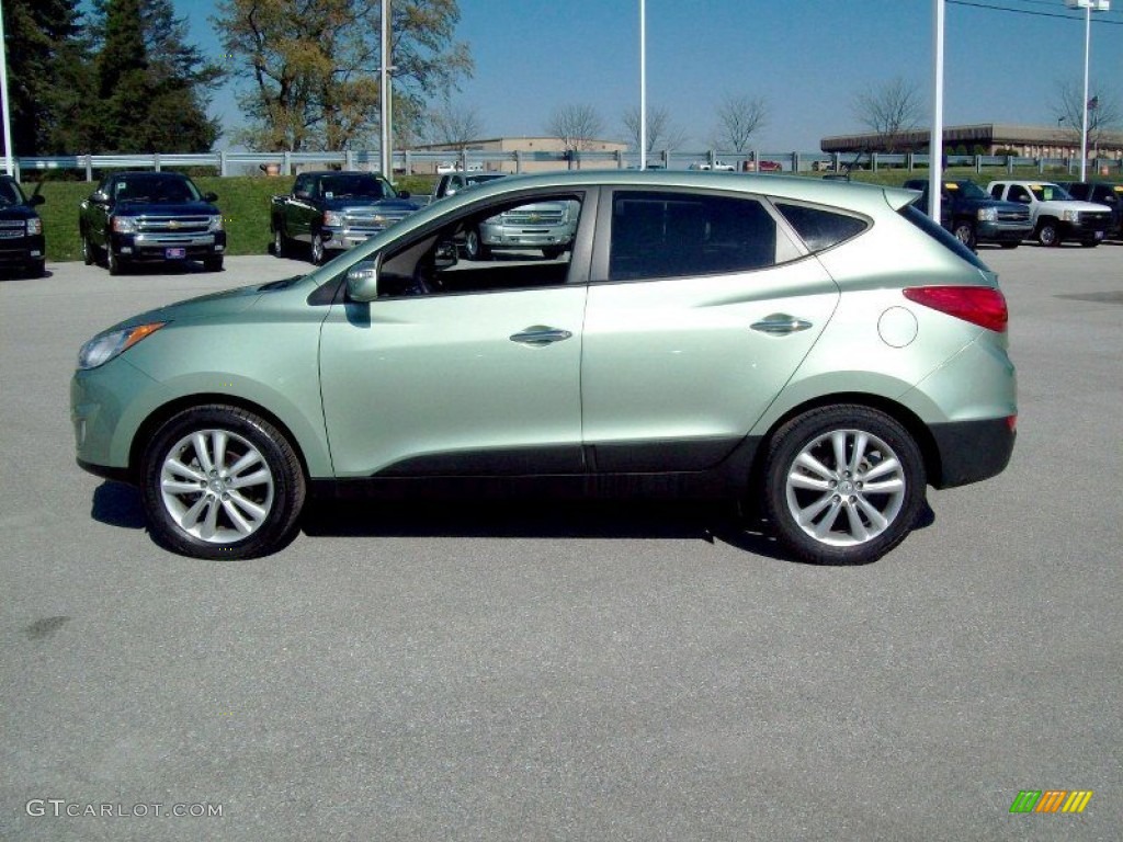 Kiwi Green 2010 Hyundai Tucson GLS Exterior Photo #55964646