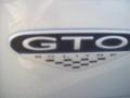 Quicksilver Metallic - GTO Coupe Photo No. 13
