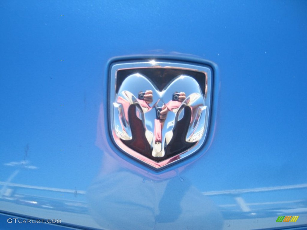 2008 Dodge Charger SRT-8 Super Bee Marks and Logos Photo #55967451