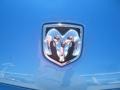 2008 Dodge Charger SRT-8 Super Bee Badge and Logo Photo