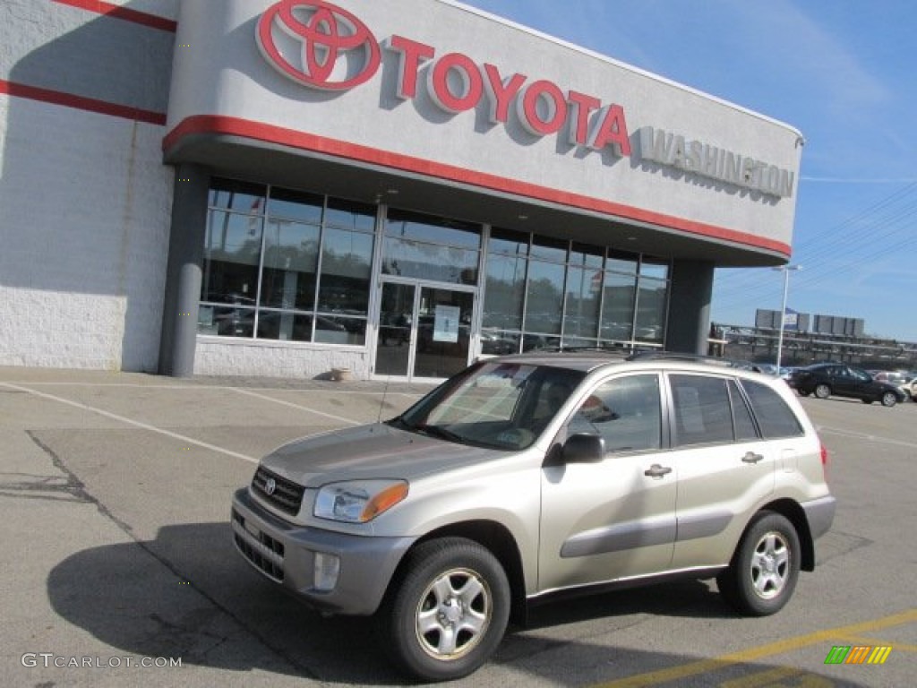 Vintage Gold Metallic Toyota RAV4