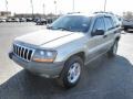 Champagne Pearlcoat - Grand Cherokee Laredo 4x4 Photo No. 3