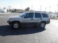Champagne Pearlcoat - Grand Cherokee Laredo 4x4 Photo No. 4