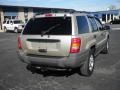 Champagne Pearlcoat - Grand Cherokee Laredo 4x4 Photo No. 20