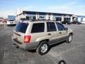 Champagne Pearlcoat - Grand Cherokee Laredo 4x4 Photo No. 24